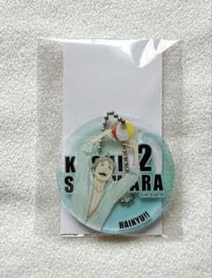ハイキュー!! 菅原孝支 水着 アクリルキーホルダー アクキー