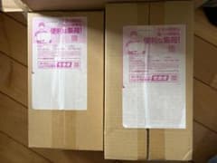 スペシャルBOX ヒロシマ フクオカ ポケセン産 2点セット